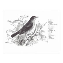 nightingale post card