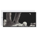 Nightscape giant bookmarks rack cards