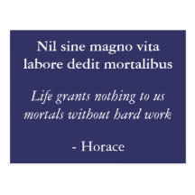 Nil sine magno vita post card