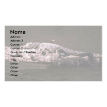 Nile Crocodile Business Card Template