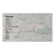Nile Crocodile Business Card Template