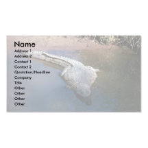 Nile Crocodile Business Card Templates