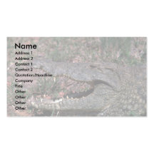 Nile Crocodile Business Card Templates