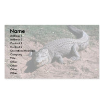 Nile Crocodile Business Cards