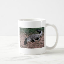 Nile Crocodile Coffee Mugs