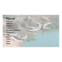 Nile Crocodiles Business Card Template