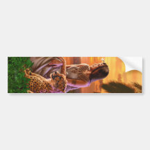 "Nile Sunset" Bumper Sticker