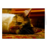 Nina asleep card