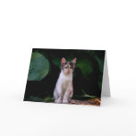 Nina Greeting Card
