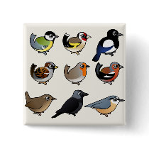 Nine cute Birdorable birds from Europe Pins