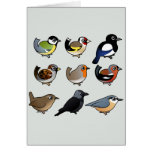Nine cute Birdorable birds from Europe cards