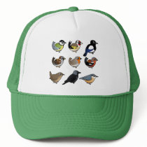 Nine cute Birdorable birds from Europe Hat