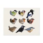 Nine cute Birdorable birds from Europe postcards