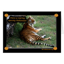 nini 001 greeting cards