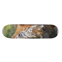 nini 002 custom skateboard