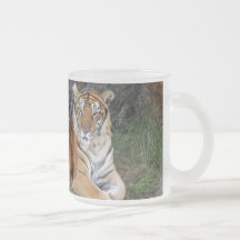 nini 002 mug