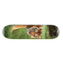 nini 008 skateboard decks