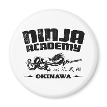 Ninja Academy Okinawa Kill Bill