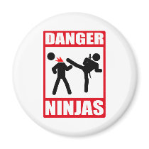 Ninja Academy Okinawa Kill Bill