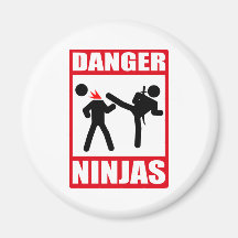 Ninja Academy Okinawa Kill Bill Magnets