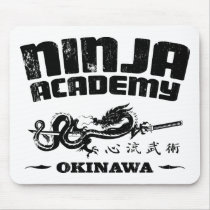 Ninja Academy Okinawa Kill Bill