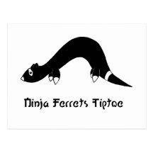 Ninja Ferret Post Card