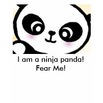 ninja panda tshirt