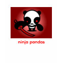 ninjapanda, ninja pandas t-shirts