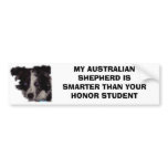 Niobe CO, MY AUSTRALIAN SHEPHERD IS SMARTER THA... bumper stickers