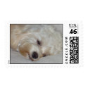Nite, Nite postage