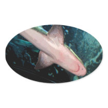 NJ Shark CB Oval Stickers