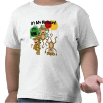 nkey Shine 1st Birthday T-shirts and Gifts