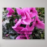 No Act of Kindness posters