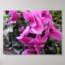 No Act of Kindness Print