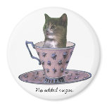 No Added Sugar (improved) kitten magnets