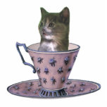 No Added Sugar kitten photosculpture