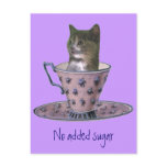 No Added Sugar kitten postcard