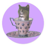 No Added Sugar kitten stickers