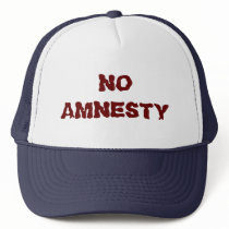 NO AMNESTY - NO JOBS - NO INCENTIVES