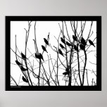 No bird shall fall posters