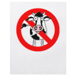 NO BULL! flyers