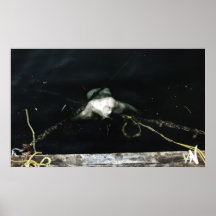No Bulletproof Life Jacket? Poster