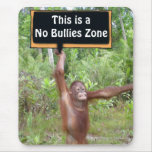 No Bullies Behaviour Zone