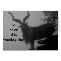 NO COLOR THIS THANKSGIVNG CARDS