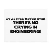 No Crying in Engineering