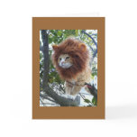 NO DISGUISE-40th BIRTHDAY GROUP cards