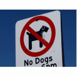 No Dogs Allowed Photo Cut Outs