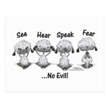No Evil Lambs Postcard