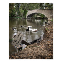No Fishing in Audubon Park Photograph