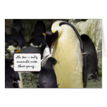 No Free Lunch Penguin cards